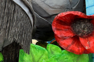 Carnevale Leinicese 021