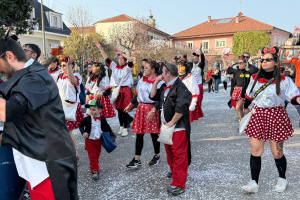 Carnevale Leinicese 024