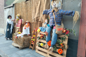 Sagra del fagiolo di Saluggia 018