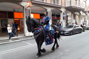 Raduno multiepocale "Sotto la Torre" 20190921 67