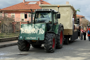 Il carnevale per la pace in giallo e blu di Leini 20250323 83