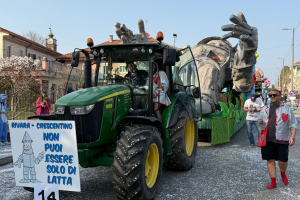 Carnevale Leinicese 023