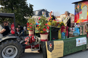 Carnevale Leinicese 059