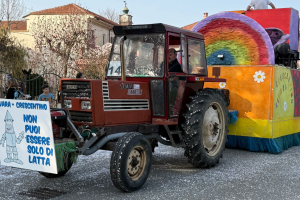 Carnevale Leinicese 019