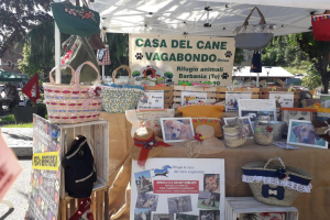 Lanzo ... a spasso nel tempo 20190616 11