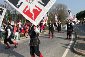 Carnevale Leinicese 072
