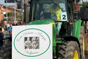 Carnevale Leinicese 066